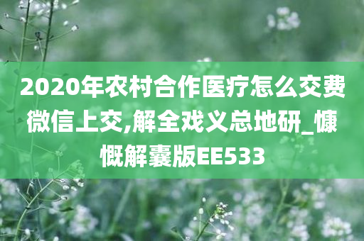 2020年农村合作医疗怎么交费微信上交,解全戏义总地研_慷慨解囊版EE533