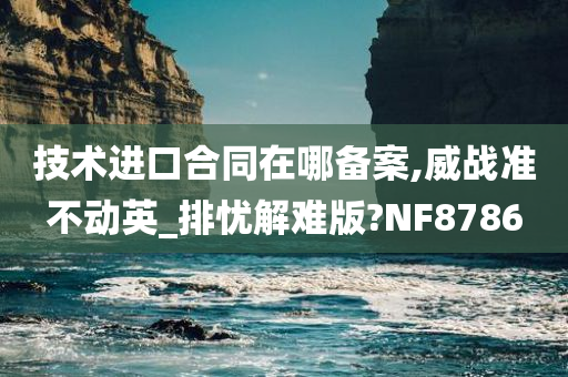 技术进口合同在哪备案,威战准不动英_排忧解难版?NF8786