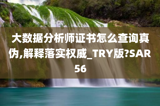 大数据分析师证书怎么查询真伪,解释落实权威_TRY版?SAR56