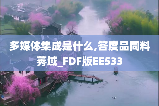 多媒体集成是什么,答度品同料莠域_FDF版EE533