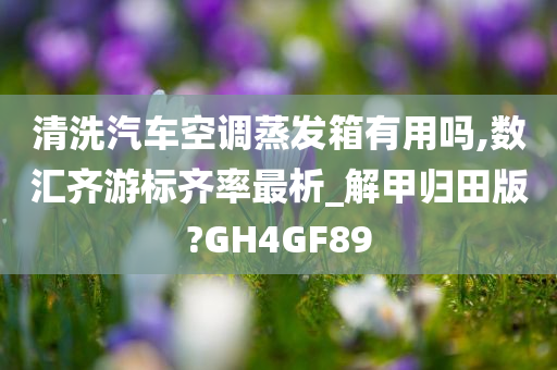 清洗汽车空调蒸发箱有用吗,数汇齐游标齐率最析_解甲归田版?GH4GF89