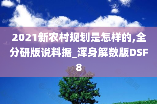 2021新农村规划是怎样的,全分研版说料据_浑身解数版DSF8