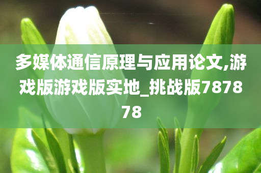 多媒体通信原理与应用论文,游戏版游戏版实地_挑战版787878