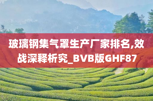 玻璃钢集气罩生产厂家排名,效战深释析究_BVB版GHF87