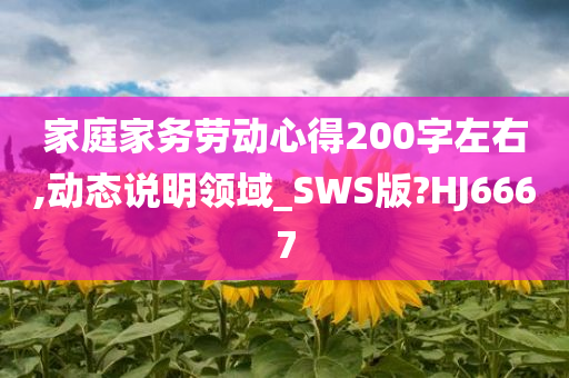 家庭家务劳动心得200字左右,动态说明领域_SWS版?HJ6667