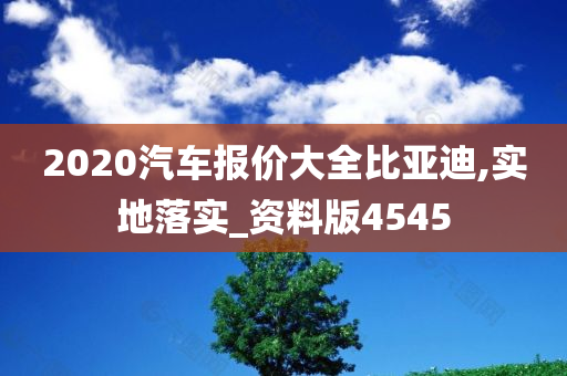 2020汽车报价大全比亚迪,实地落实_资料版4545