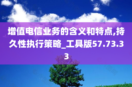 增值电信业务的含义和特点,持久性执行策略_工具版57.73.33