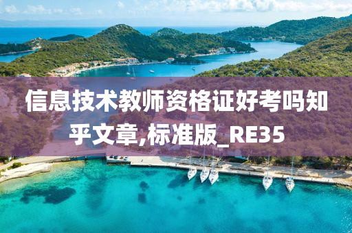 信息技术教师资格证好考吗知乎文章,标准版_RE35