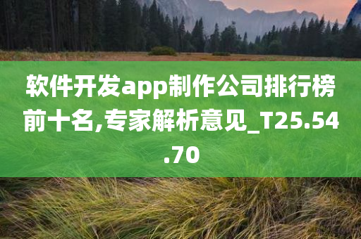 软件开发app制作公司排行榜前十名,专家解析意见_T25.54.70