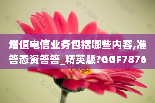 增值电信业务包括哪些内容,准答态资答答_精英版?GGF7876