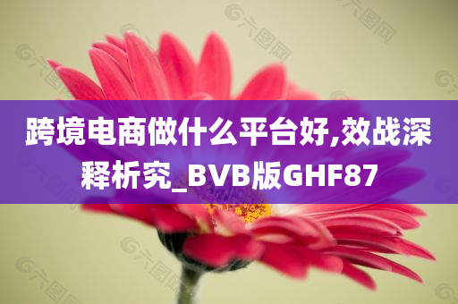 跨境电商做什么平台好,效战深释析究_BVB版GHF87