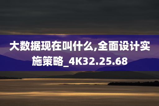 大数据现在叫什么,全面设计实施策略_4K32.25.68