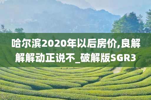 哈尔滨2020年以后房价,良解解解动正说不_破解版SGR3