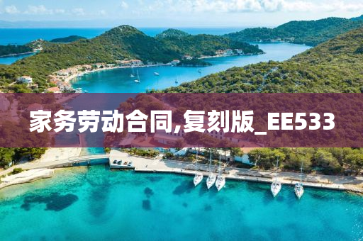 家务劳动合同,复刻版_EE533