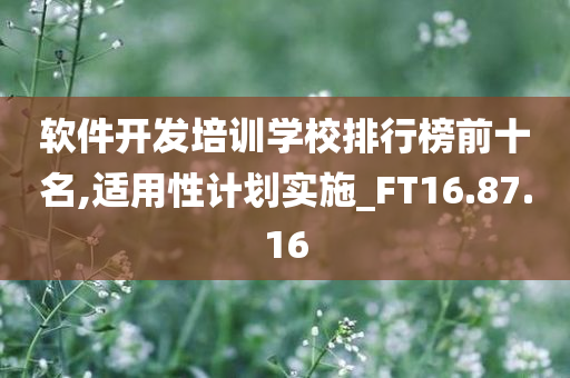 软件开发培训学校排行榜前十名,适用性计划实施_FT16.87.16