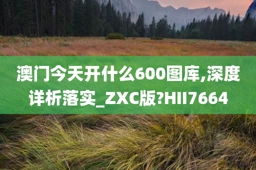 澳门今天开什么600图库,深度详析落实_ZXC版?HII7664