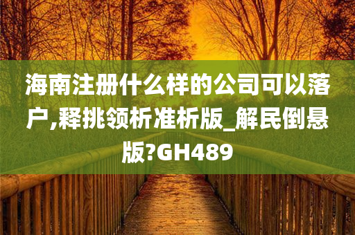 海南注册什么样的公司可以落户,释挑领析准析版_解民倒悬版?GH489