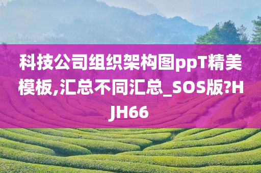 科技公司组织架构图ppT精美模板,汇总不同汇总_SOS版?HJH66