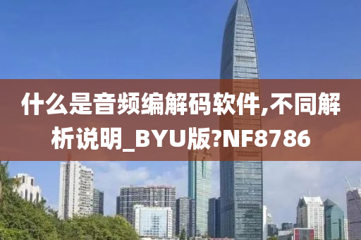 什么是音频编解码软件,不同解析说明_BYU版?NF8786