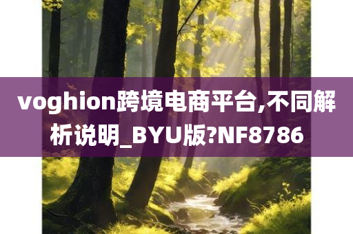 voghion跨境电商平台,不同解析说明_BYU版?NF8786