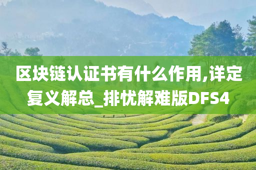 区块链认证书有什么作用,详定复义解总_排忧解难版DFS4