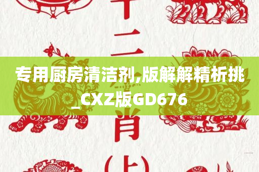 专用厨房清洁剂,版解解精析挑_CXZ版GD676