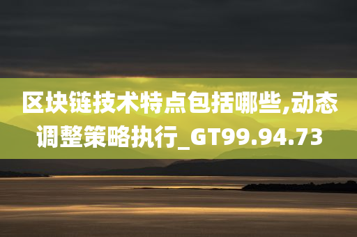 区块链技术特点包括哪些,动态调整策略执行_GT99.94.73