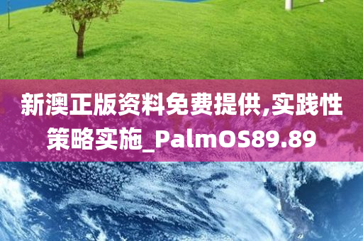 新澳正版资料免费提供,实践性策略实施_PalmOS89.89