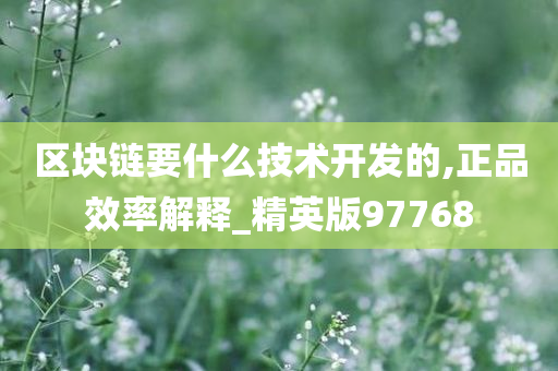 区块链要什么技术开发的,正品效率解释_精英版97768