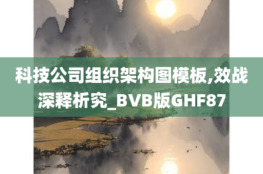 科技公司组织架构图模板,效战深释析究_BVB版GHF87