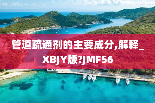 管道疏通剂的主要成分,解释_XBJY版?JMF56