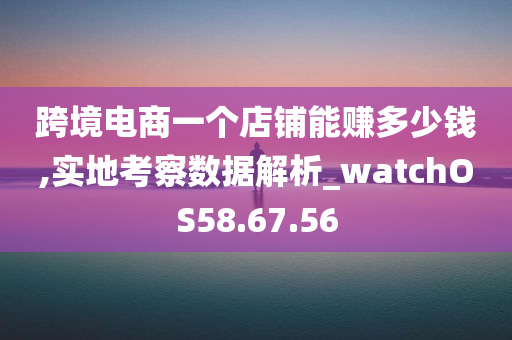 跨境电商一个店铺能赚多少钱,实地考察数据解析_watchOS58.67.56