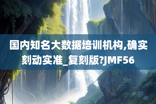 国内知名大数据培训机构,确实刻动实准_复刻版?JMF56