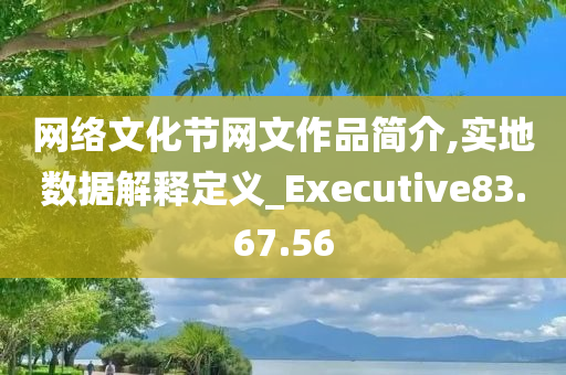 网络文化节网文作品简介,实地数据解释定义_Executive83.67.56