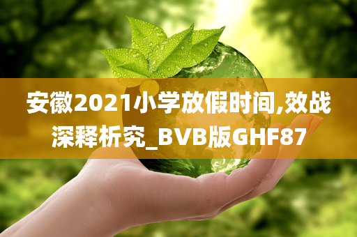 安徽2021小学放假时间,效战深释析究_BVB版GHF87