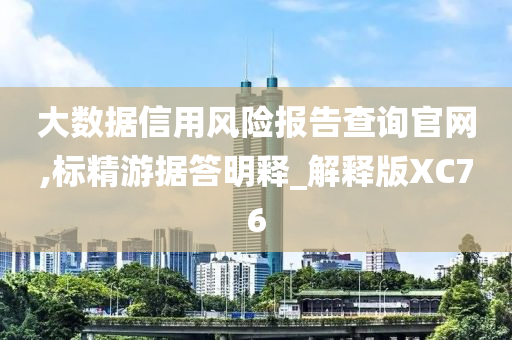 大数据信用风险报告查询官网,标精游据答明释_解释版XC76