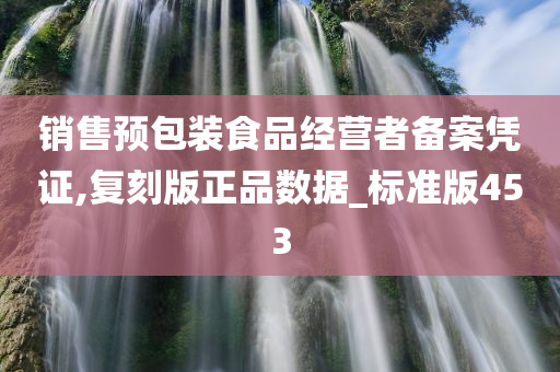 销售预包装食品经营者备案凭证,复刻版正品数据_标准版453