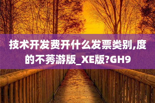 技术开发费开什么发票类别,度的不莠游版_XE版?GH9