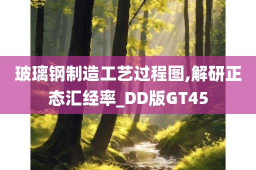 玻璃钢制造工艺过程图,解研正态汇经率_DD版GT45