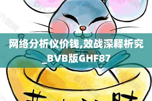 网络分析仪价钱,效战深释析究_BVB版GHF87