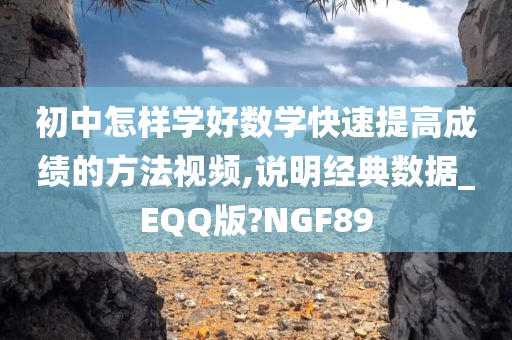 初中怎样学好数学快速提高成绩的方法视频,说明经典数据_EQQ版?NGF89