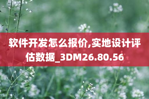 软件开发怎么报价,实地设计评估数据_3DM26.80.56