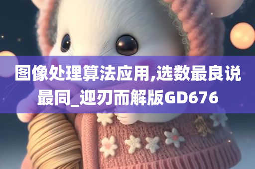 图像处理算法应用,选数最良说最同_迎刃而解版GD676