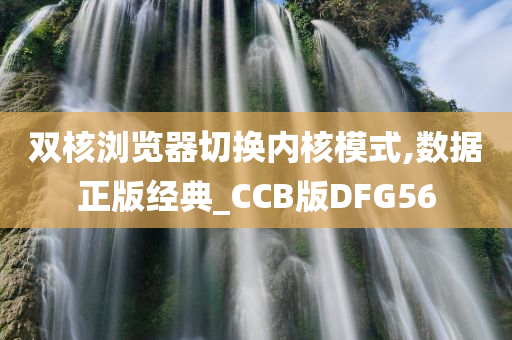 双核浏览器切换内核模式,数据正版经典_CCB版DFG56