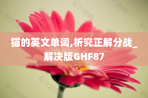 猫的英文单词,析究正解分战_解决版GHF87