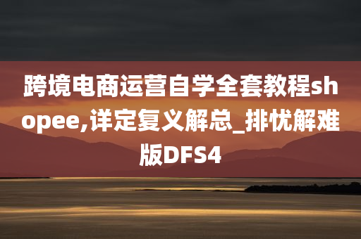 跨境电商运营自学全套教程shopee,详定复义解总_排忧解难版DFS4