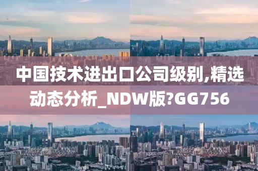 中国技术进出口公司级别,精选动态分析_NDW版?GG756