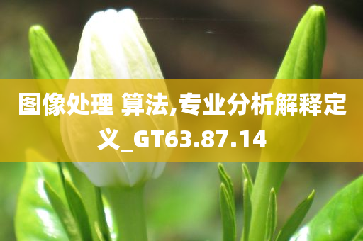 图像处理 算法,专业分析解释定义_GT63.87.14