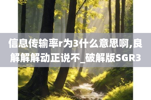 信息传输率r为3什么意思啊,良解解解动正说不_破解版SGR3