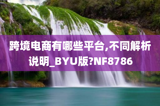 跨境电商有哪些平台,不同解析说明_BYU版?NF8786